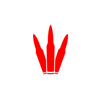 144Legioner441's emblem