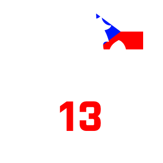SilwerCZ's emblem