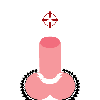 HTT_Phoenix's emblem