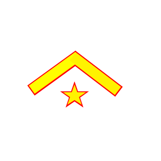 yerayDISA's emblem