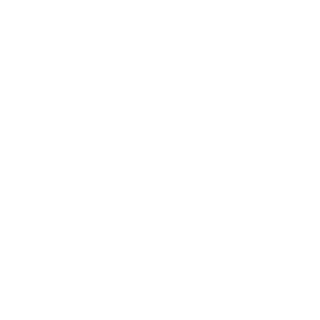 FabbrisML's emblem