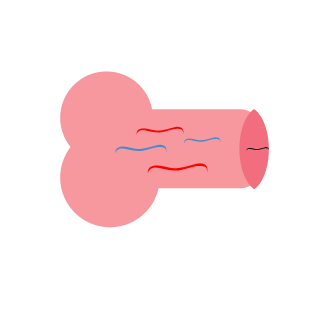noahisnthomo's emblem