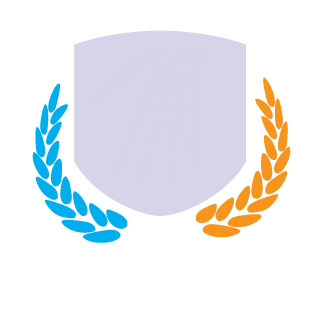 BlueNKnight's emblem