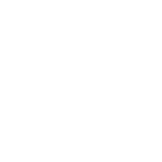 Squizzolo's emblem