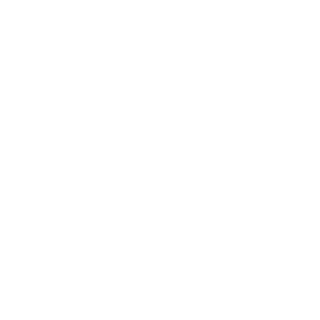 VULGOJAMAICA_ZL's emblem