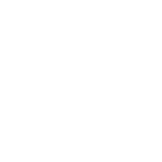 NorwayDian's emblem