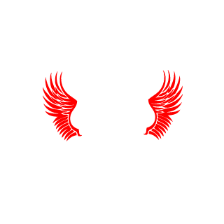 FSDani's emblem