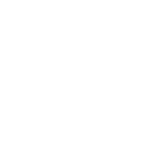 fachoffsieassers's emblem