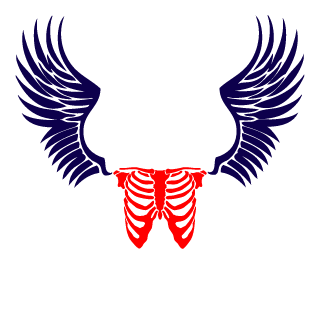 Steelknight452's emblem