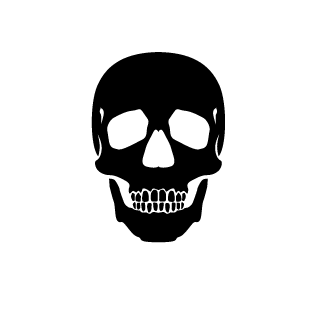PauFerr0's emblem