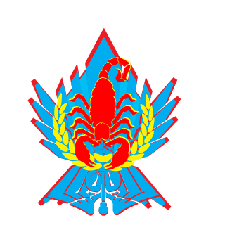 matsuR33's emblem