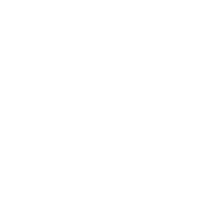 8ac75206a1ffa5e4's emblem