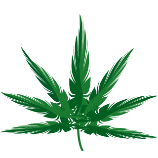 210Texan's emblem