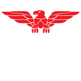 LUFTWAFFE-PILOT's emblem