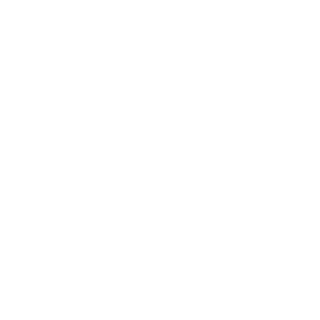 BravoIII007's emblem