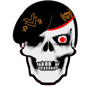 Pavilhao 9's emblem