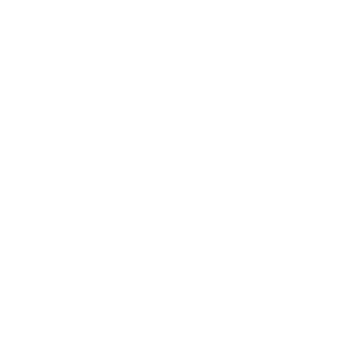 snoogins355's emblem