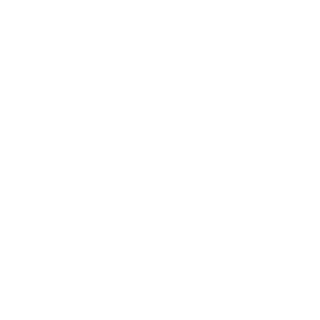 V4N1SH1NG's emblem