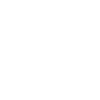 SLJL55's emblem