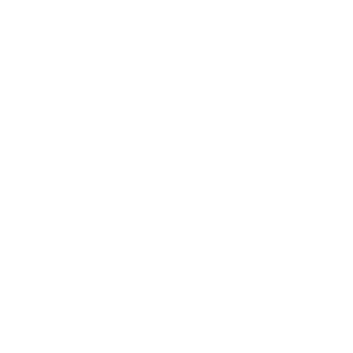 Puninsher96's emblem