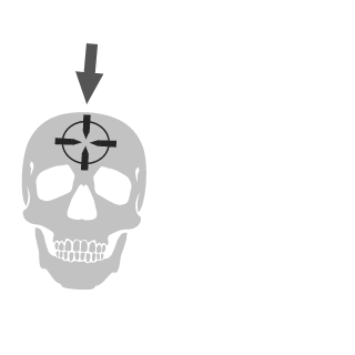 LifeCie's emblem