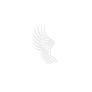sy1615's emblem