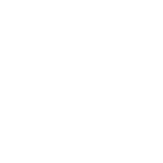 Sabo91's emblem