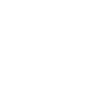Lord Whiz's emblem