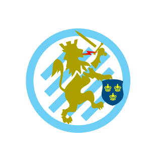warrior2095's emblem
