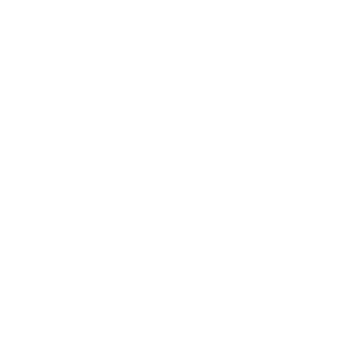 busshot16's emblem