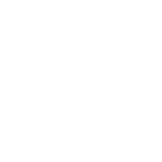 59commando's emblem