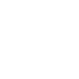 Leonard_TV's emblem