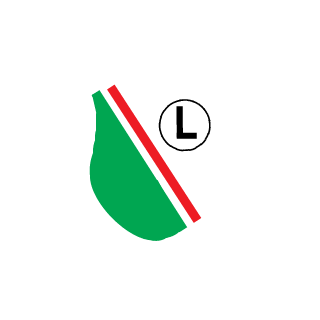 AnaInyWojownik11's emblem