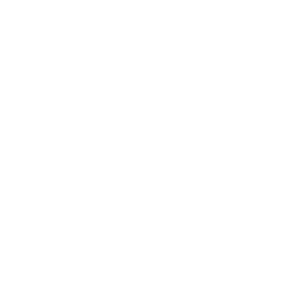 SOFLAM_Gunner's emblem