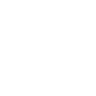 Sa83rR1d3R's emblem