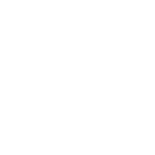 NewGuyx's emblem