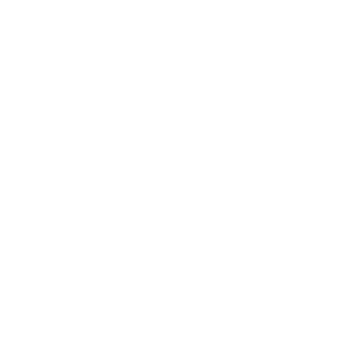 Archer Magnus's emblem