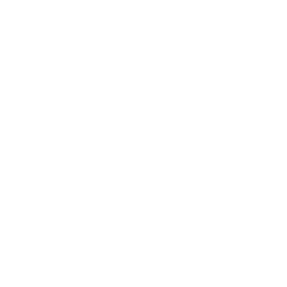 PY974's emblem