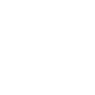 aZn_Shrimp95's emblem