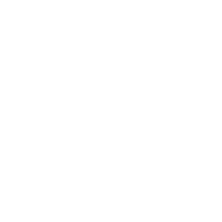 iRelast13's emblem