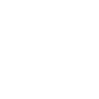 AgentBlazkowicz-'s emblem