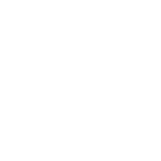 realacedude's emblem