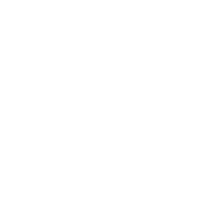 LLciciFF's emblem