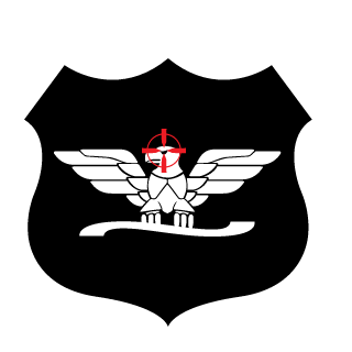 ale_nik_21's emblem