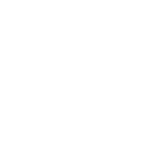 RandoCommando25's emblem