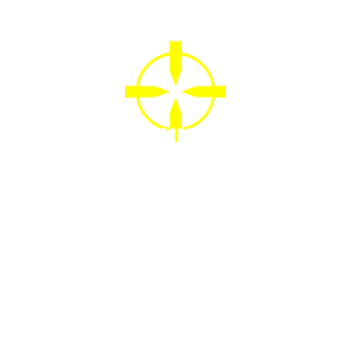 DnRvs's emblem