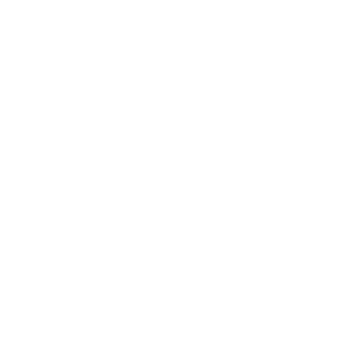 Jin-Jie_JS2's emblem