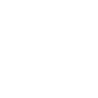 r9800pro's emblem