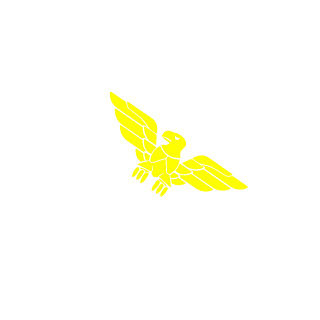 00Striker01's emblem