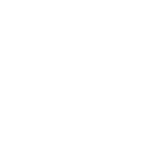 APELSIN0140's emblem